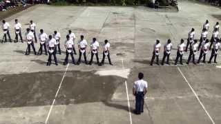 CAT PRESENTATION BATCH 2012-2013 (part1)