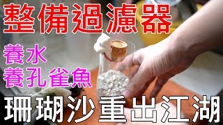 整理小缸過濾器 準備養孔雀魚 | DIY 沉馬靜音過濾器 | 水族 DIY