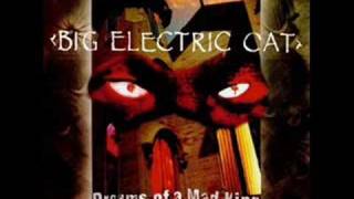 Big Electric Cat - Orchid Dreaming