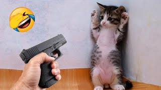 Funny and cute animals will make you laugh to die 😂