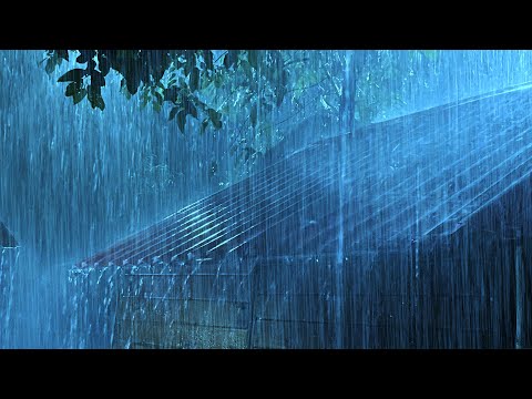 Cope with Insomnia within 3 Minutes - Heavy Rain & Thunder on Tin Roof Will Make You Sleep Instantly
