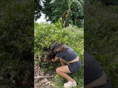 Biglang nawala ang babae #funny #comedymove #comedyfilms #comedyforever #comedymovies