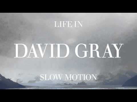 David Gray - "From Here You Can Almost See The Sea"