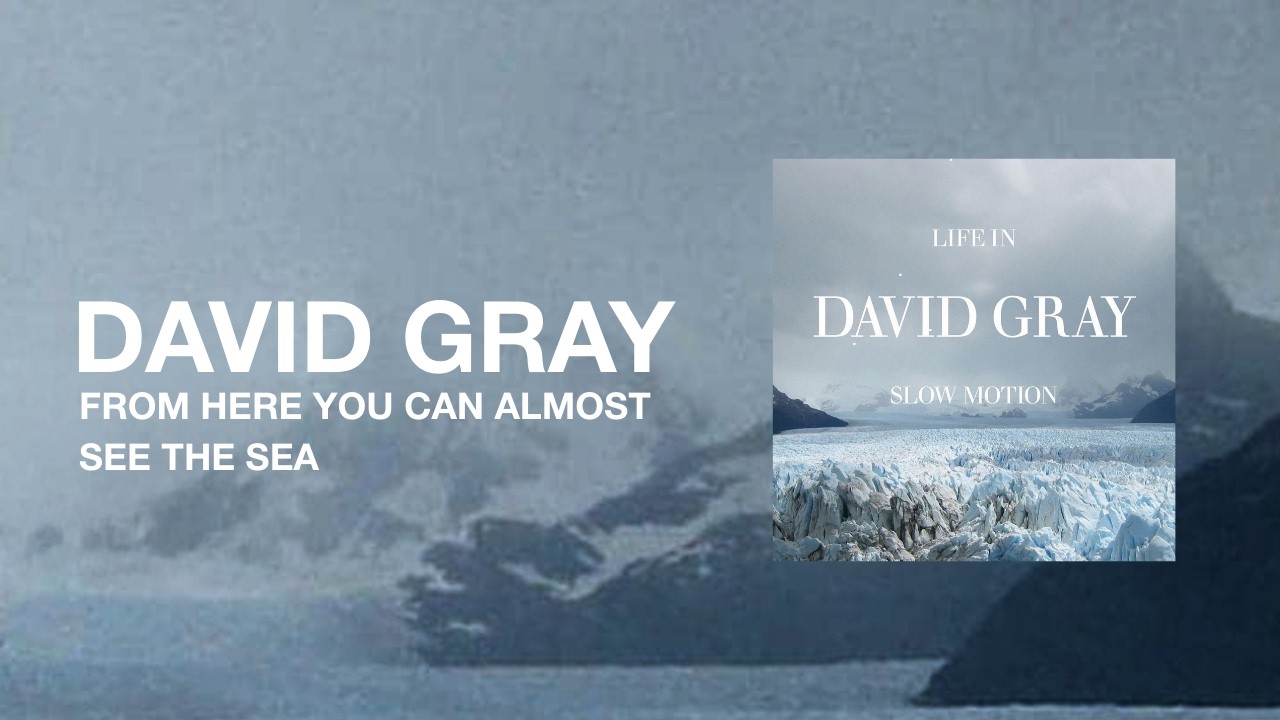 David Gray - From Here You Can Almost See the Sea