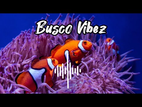 Allan Toniks - Sikuleka [Pakx Chill ReMix]