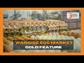 Kenya S Gold Wangige Egg Market Gold Feature