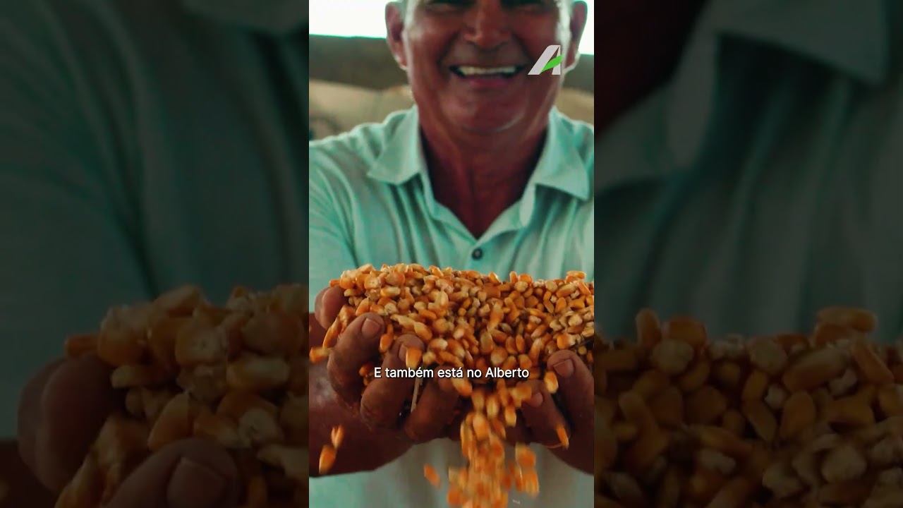 A Amazônia é o lugar que existe a maior quantidade de vida animal, vegetal e humana do planeta.