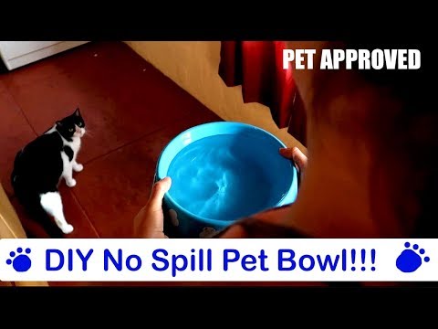 No Spill Water Bowl For Pets! DIY