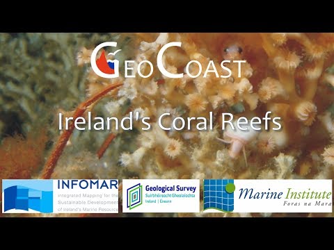 Ireland's Coral Reefs
