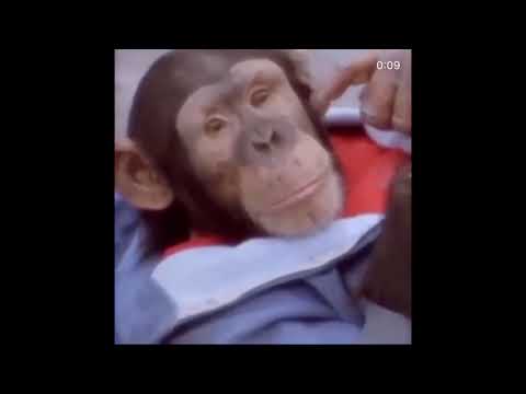 [FREE] Aminé x LIl Yachty x KYLE type beat | prod. morpheus