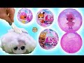 NEW Winter Disco Fuzzy Hair Pets Water Snow Globes Video