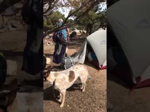 Video from our campsite (#20)