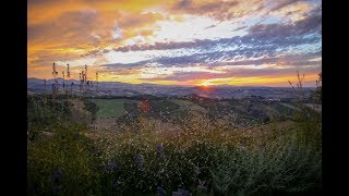 ROME TO PARADISE | Train to the Italian Countryside! - YouTube