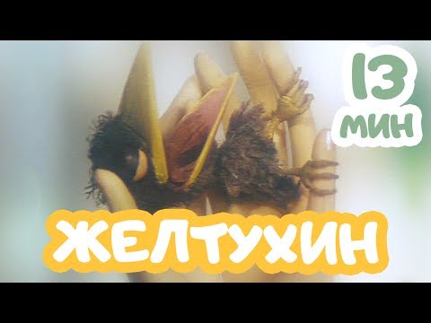 Мультфильм "Желтухин" | 2002 | Анимационный фильм по повести А.Толстого.