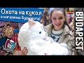 Охота на кукол в Будапеште (Monster High, Ever After High / Jateksziget ...