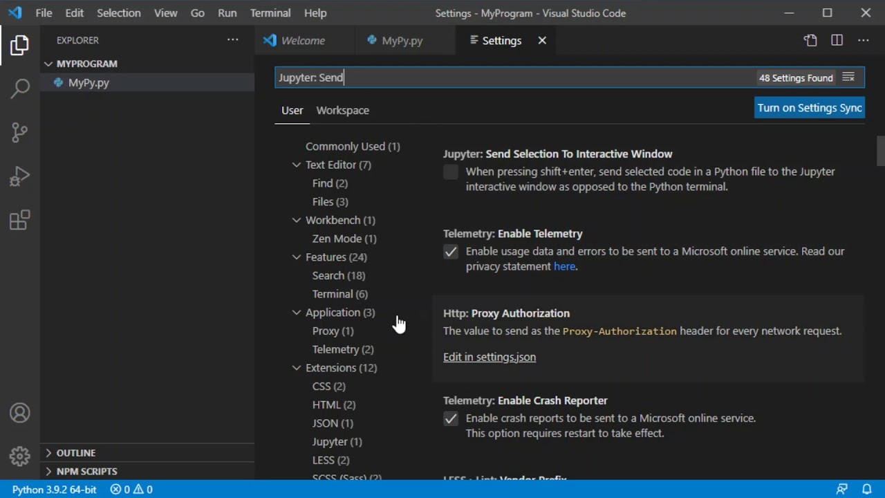 Jupyter Interactive Window in Visual Studio Code