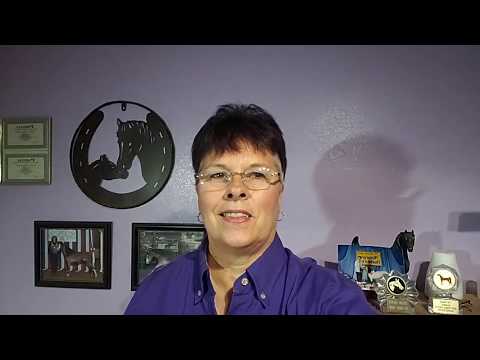 Winter Horse Care Tips: Importance of Water and Salt