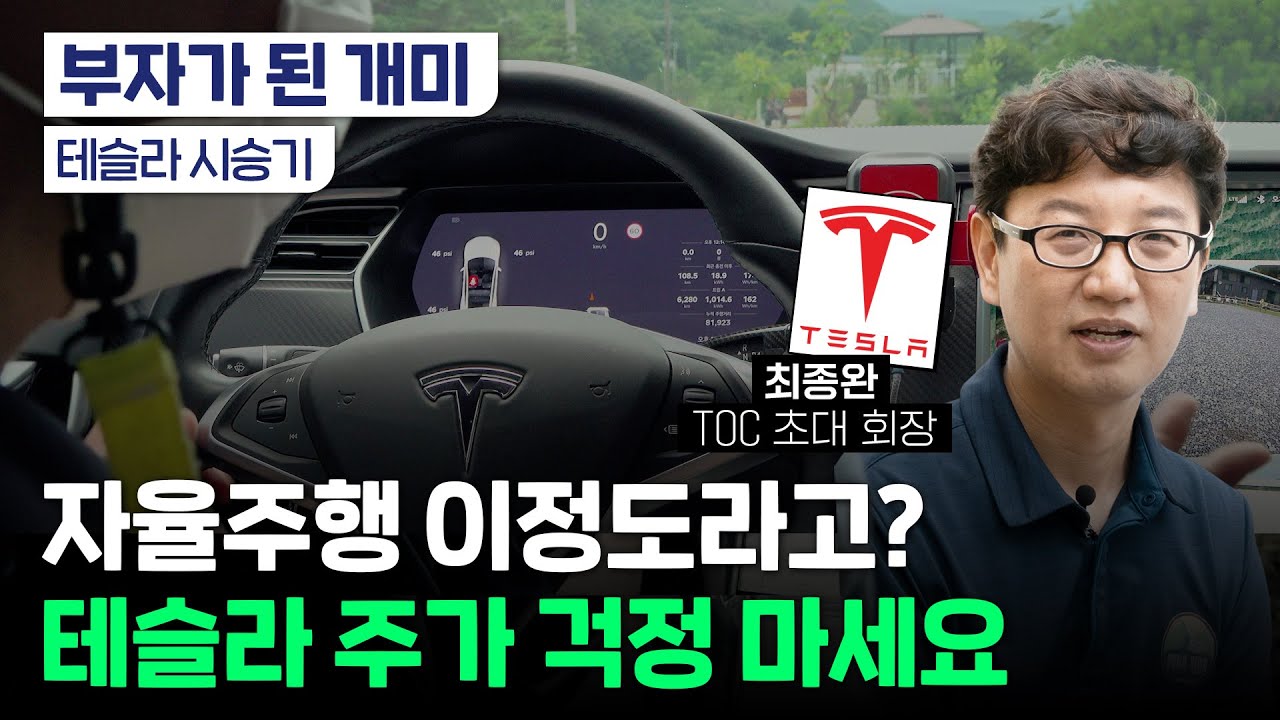 개랑 고양이도 구별한다는 테슬라 자율주행