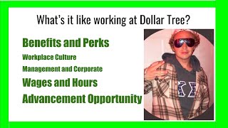 Working at Dollar Tree (Everything you NEED to KNOW)