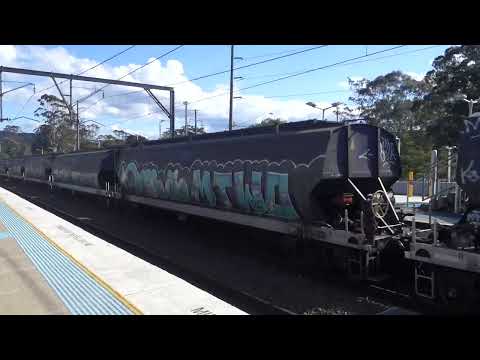 8103 / 8228 /  8209 / 8183 with PN 3434 grain - 26/7/22