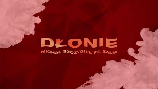Kadr z teledysku Dłonie tekst piosenki Michał Szczygieł feat. Zalia