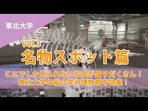 コンピュータ理工学科 【東北大学】貴重な「お宝」が盛りだくさん！総合学術博物館を取材！【東進TV】