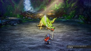 ドラゴンクエストI＆II_ローラ姫救出、ドラゴン戦