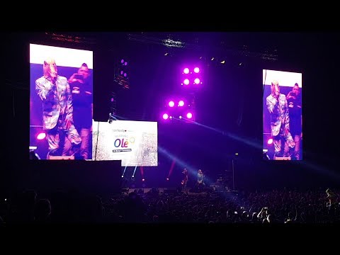 Ingo ohne Flamingo - Saufen, morgens, mittags, abends Live Hamburg Olé 2018