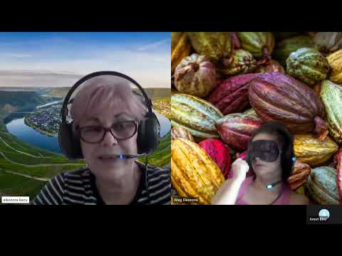 HIPNOZA REGRESIVA.RO-2120.Ionut,Norul cu vibratii joase adunat in 3 vieti. E LASCU coord si ELA tel.