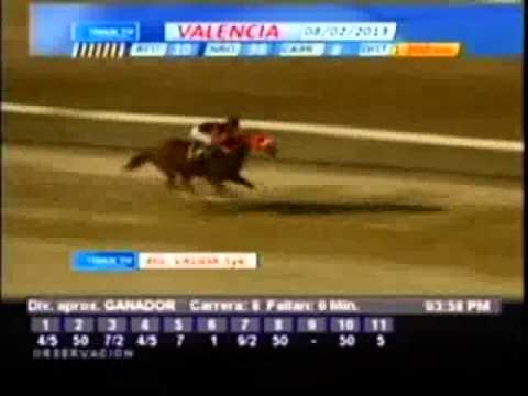 Resumen Viernes, 08 de Febrero de 2013 - Valencia