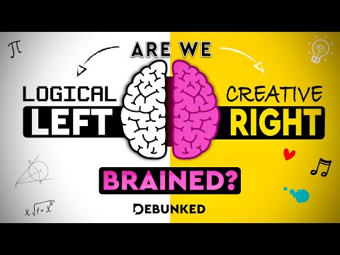Left Brain vs Right Brain Myth! DEBUNKED