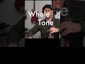 Channeling inner Mike Stern.  Practicing whole tone/Aug and diminished.  theimprovsisorsguide.com