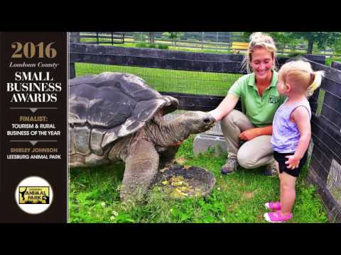 download lagu mp3 mp4 Leesburg Tourism, download lagu Leesburg Tourism gratis, unduh video klip Leesburg Tourism