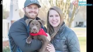 Dog with Neurological Disorder Finds the Perfect Family to Help Her Thrive