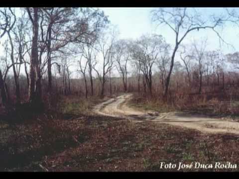 Tião Carreiro e Pardinho - Rolinha Cabocla - Clássico da Música Sertaneja - Raridade