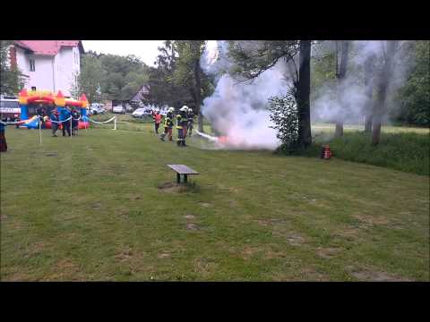 SDH Sedlejovice - 30.5.2015 ukázka JSDHo Sychrov/Sedlejovice (HD)