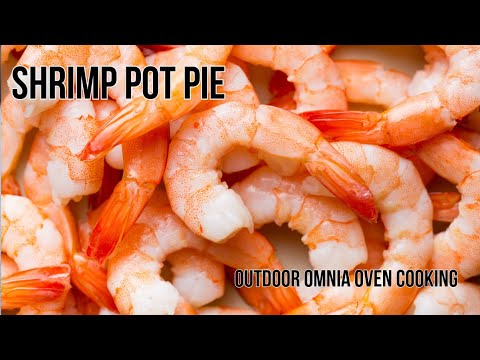 SHRIMP POT PIE WITH CAMPING GEAR | OUTDOOR OMNIA OVEN COOKING