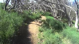 preview picture of video 'ABOM // Mt Buller // Downhill Mountain Biking'