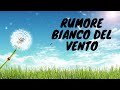 RUMORE BIANCO DEL VENTO PER DORMIRE E PER RILASSARSI RELAX ASMR SUONI DELLA NATURA WHITE NOISE