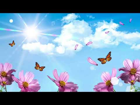 ATZ ~ DayDream ft. Sshabazz (Promo)