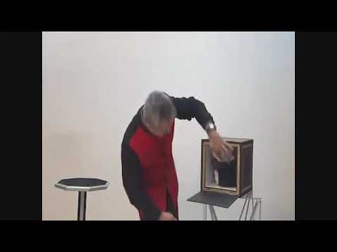 Everything to 4 Dove Cages by Tora Magic. Появляющиеся клетки