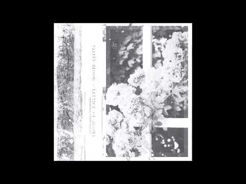 Pallid Bloom (US) - As Sallow Woven Spines Uncoil Into Moongrave Night