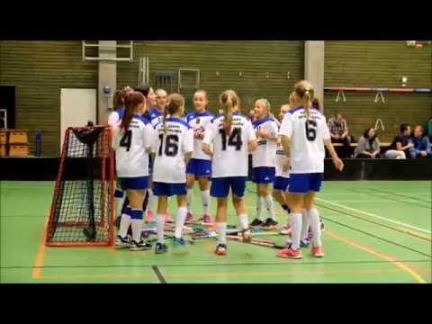 Några glimtar från Häljarps SK F12 vs Falcons 2015-10-25