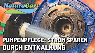 Teichpumpe richtig pflegen und entkalken - Lebensdauer der Pumpe verlängern