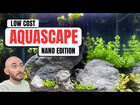 Low Cost Nano Tank Build | Aquascaping Made Simple