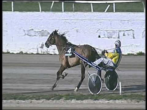 Trotto 26/01/2016 - 1° corsa