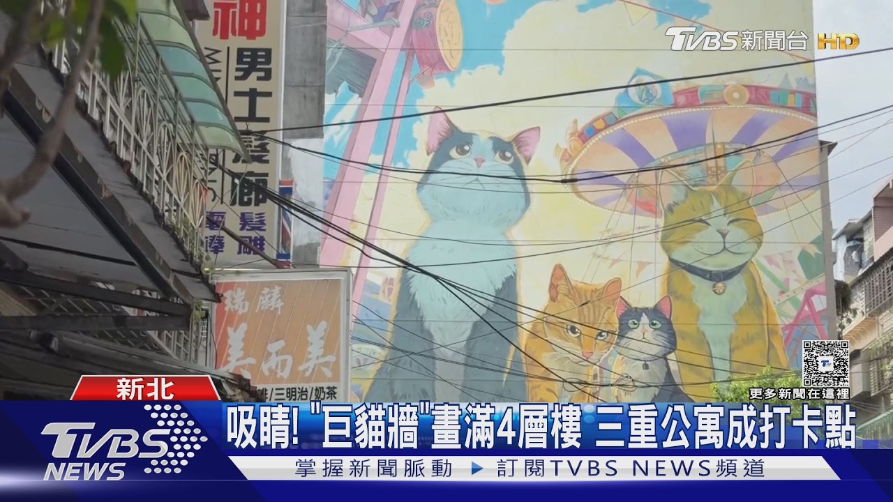 吸睛！4層樓「巨型貓咪牆」爆紅！　在地人笑：走失也找得到