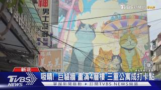 吸睛!4層樓「巨型貓咪牆」爆紅! 在地人笑:走失也找得到
