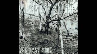 The Last Root - Out of Control