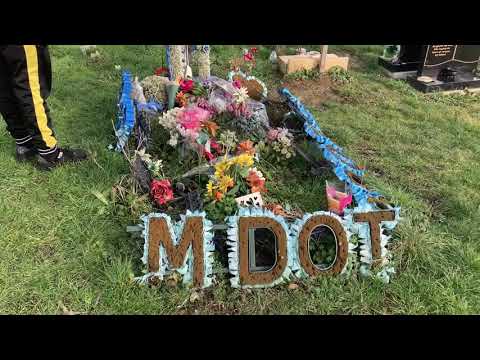 Life of IQ (DAY1) @IQuniverse